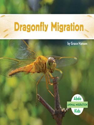 cover image of Dragonfly Migration